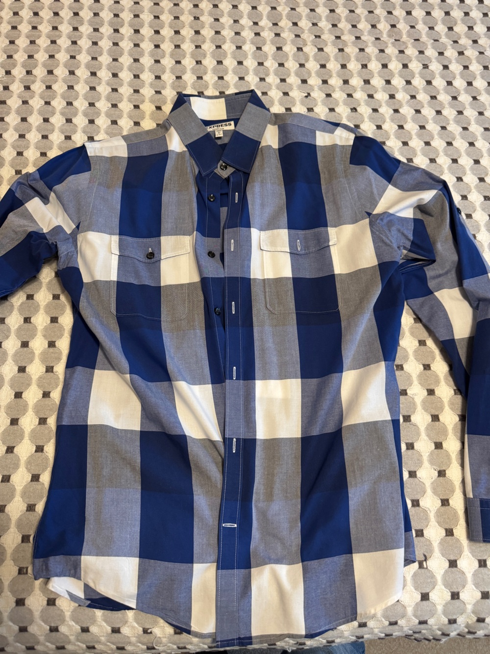 Express Men's Blue and White Large-Check Button-Down Shirt